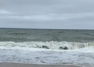 Bølger der slår ind over stranden